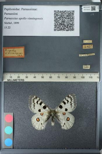 Media type: image;   Entomology 175415